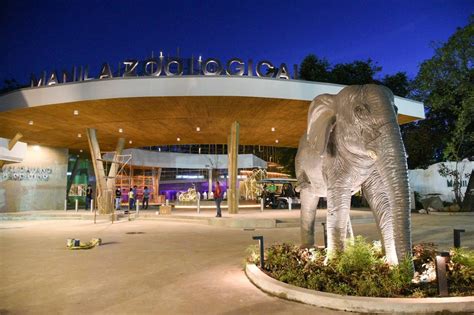 manila zoo open time|Renovated Manila Zoo set to open on December 30 .